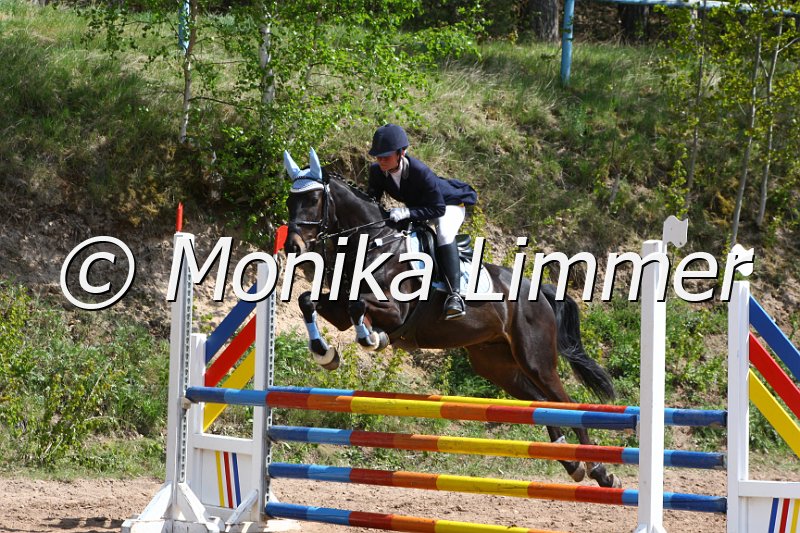 004M1907_J Dremes S_Springpferde A xx.JPG